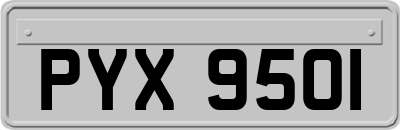 PYX9501
