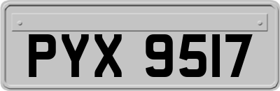 PYX9517