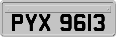 PYX9613