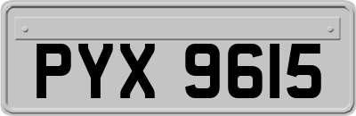 PYX9615