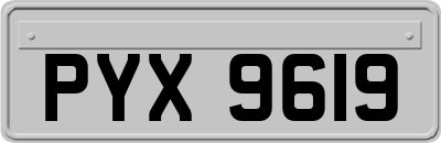 PYX9619