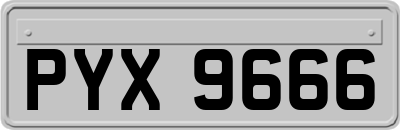 PYX9666