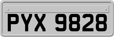 PYX9828