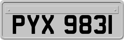 PYX9831