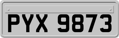 PYX9873