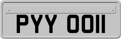 PYY0011