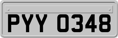 PYY0348