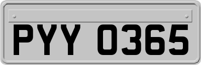 PYY0365