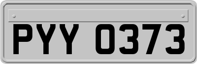 PYY0373
