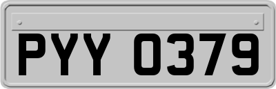 PYY0379
