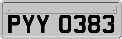 PYY0383