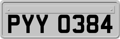 PYY0384