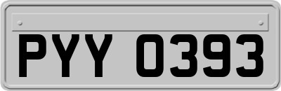 PYY0393