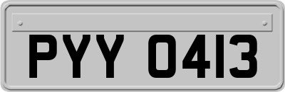 PYY0413