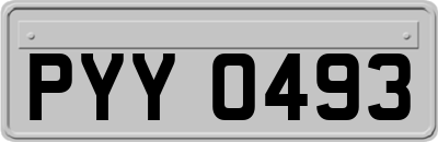 PYY0493