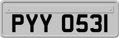 PYY0531