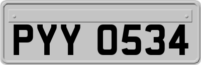 PYY0534