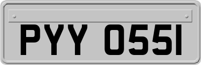 PYY0551