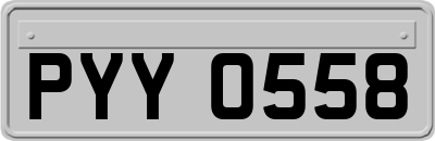 PYY0558