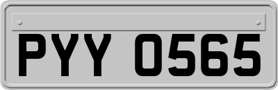 PYY0565