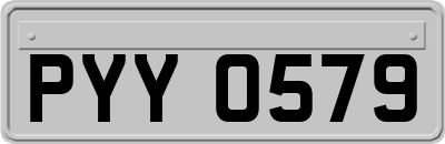 PYY0579