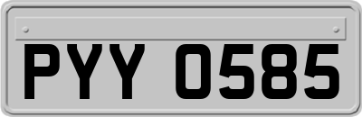 PYY0585