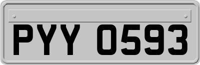 PYY0593