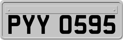 PYY0595