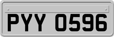 PYY0596