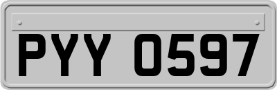 PYY0597