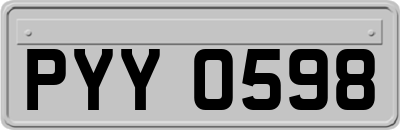 PYY0598