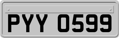 PYY0599