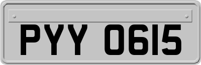 PYY0615