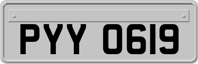 PYY0619