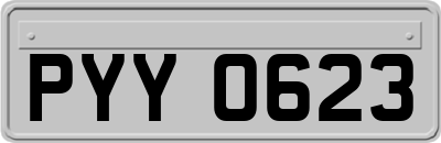 PYY0623