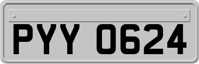 PYY0624