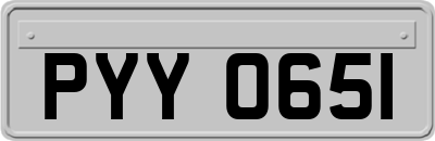 PYY0651
