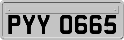 PYY0665