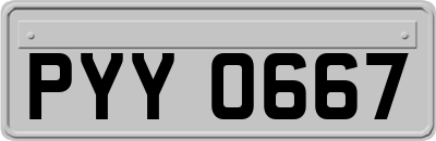 PYY0667