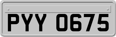 PYY0675