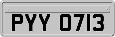 PYY0713
