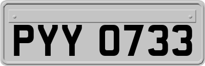 PYY0733