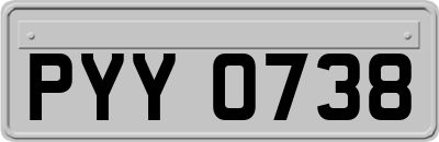 PYY0738