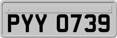 PYY0739
