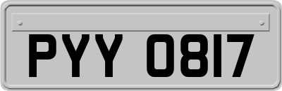 PYY0817