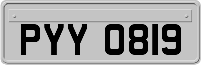 PYY0819