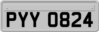 PYY0824
