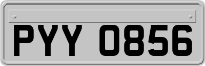 PYY0856