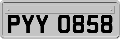 PYY0858