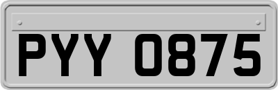 PYY0875